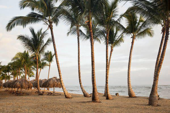 Hotel Excellence El Carmen (adults Only) 5*