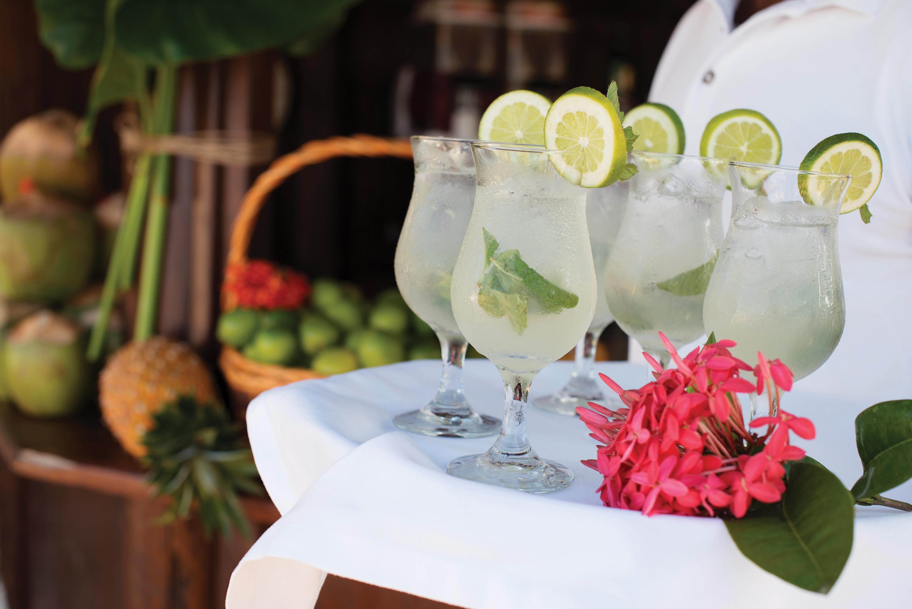 Excellence El Carmen Hotel Punta Cana